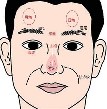 日月角隆起|日月角:簡要介紹,相理分論,日角,月角,吉凶預兆,